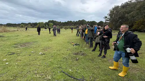 Göç Yolunda Antalya'nın Nadir Misafirleri